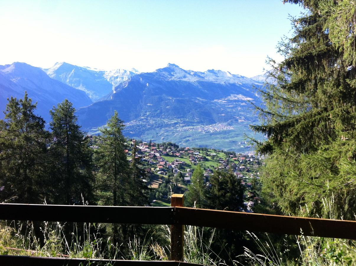 Greppon Blanc A2 Apartment Nendaz Exterior photo